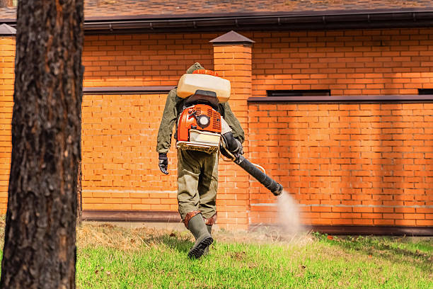 Bed Bug Clearance Verification and Documentation in Walton Park